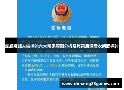 家暴嫌疑人被捕的六大常见原因分析及其背后深层次问题探讨
